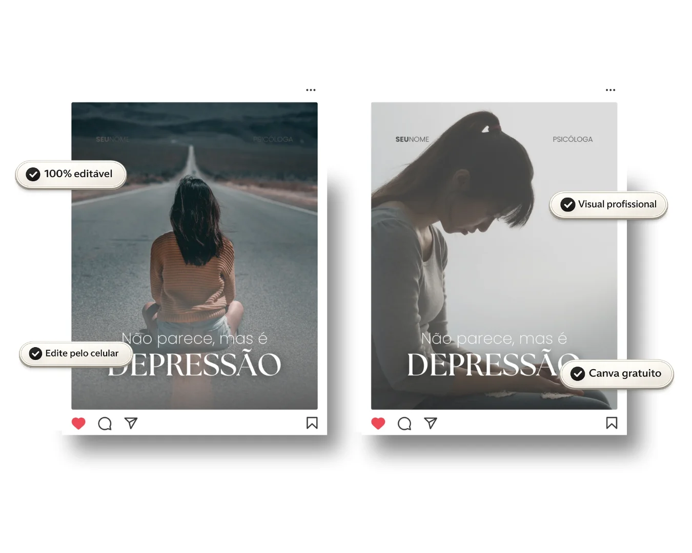 Pack de feed
