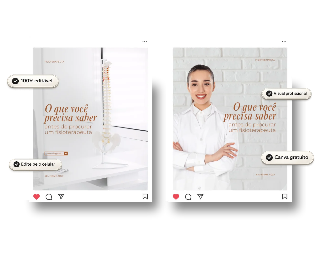 Pack de feed