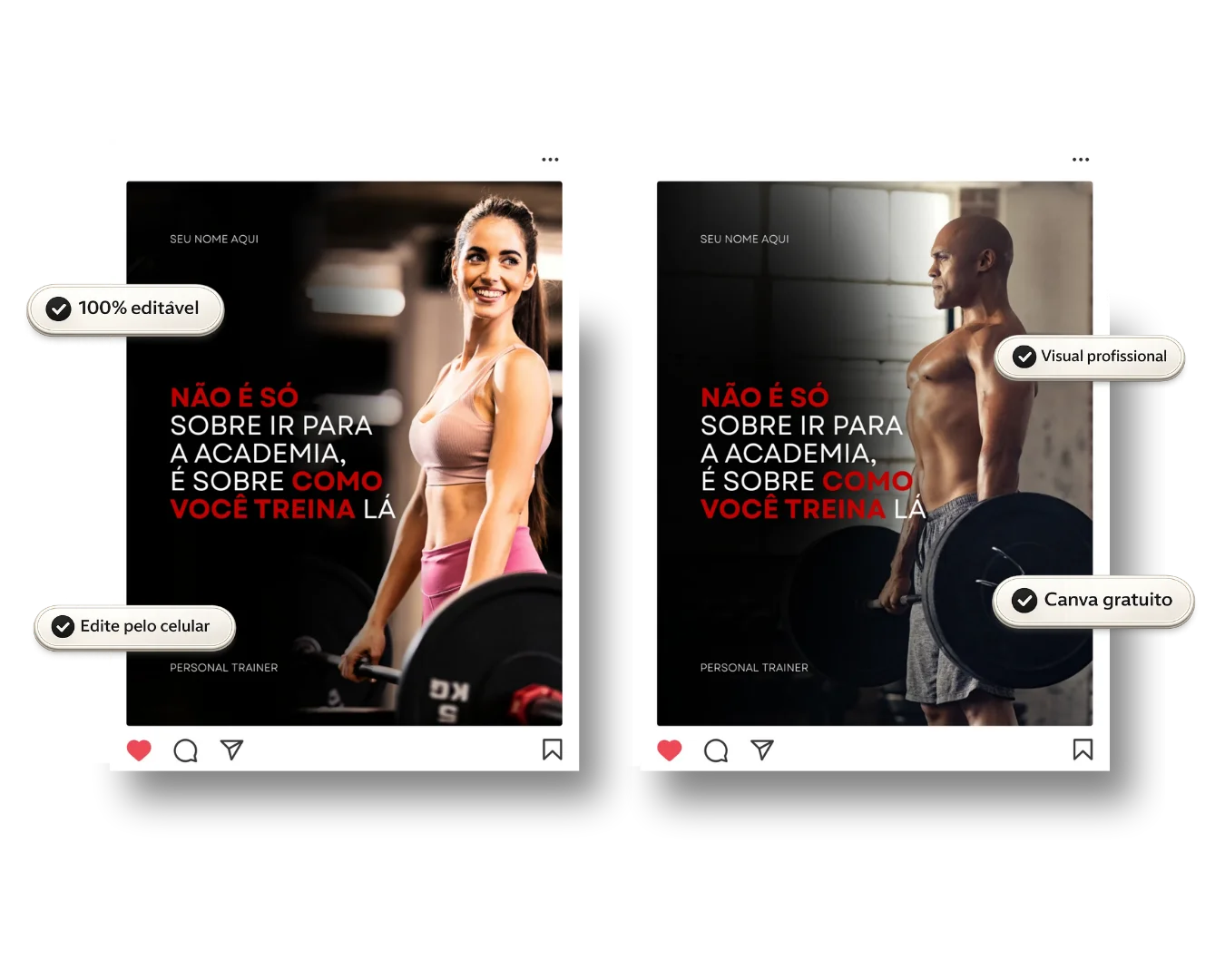Pack de feed