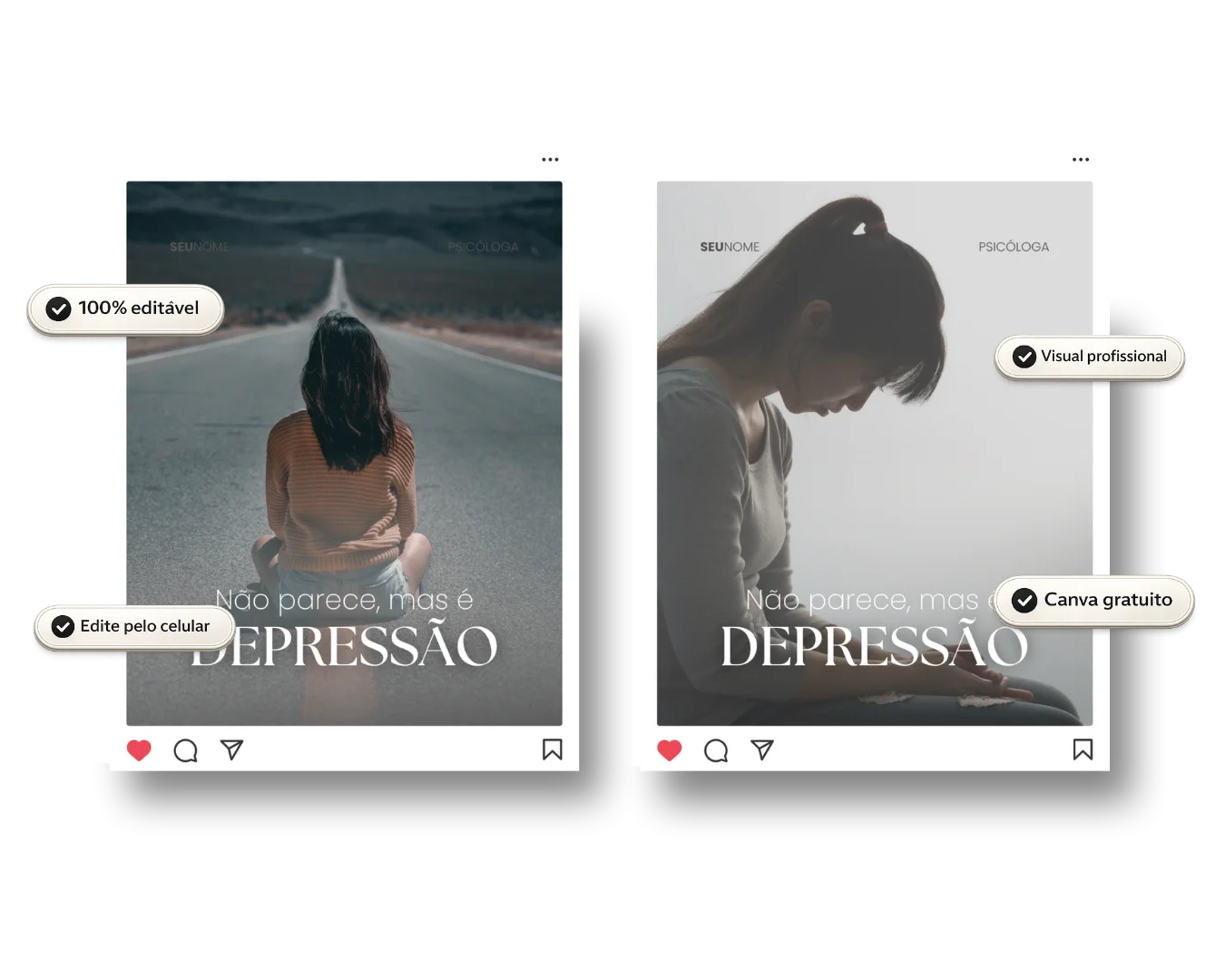 Pack de feed