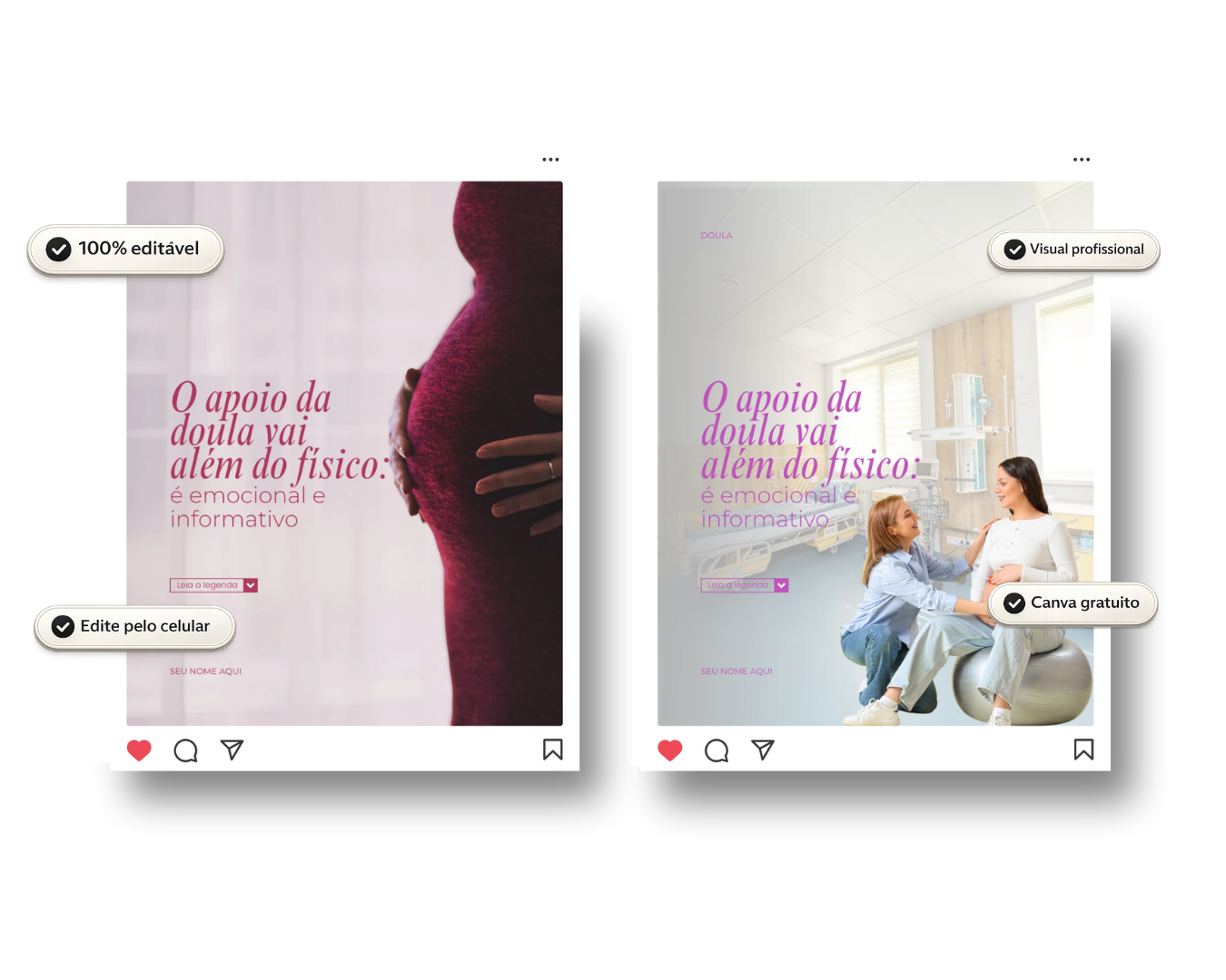 Pack de feed