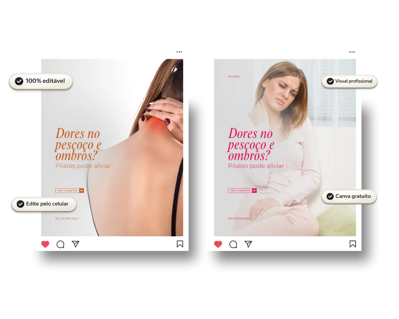 Pack de feed